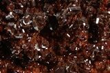 Glittering Ruby Red Vanadinite Crystals on Barite - Morocco #349433-1